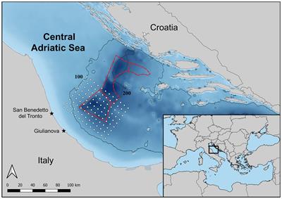 Life history traits and historical comparison of blue whiting (Micromesistius poutassou) growth performance from the western Pomo/Jabuka Pits area (central Adriatic Sea)
